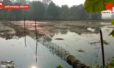 অবৈধ চায়না দুয়ারী জাল জব্দ