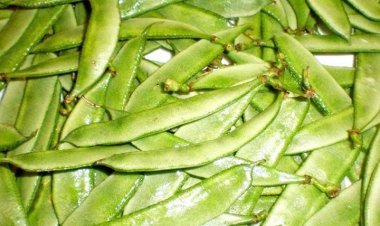 শীতে রোজ শিম কিনছেন? নিয়মিত শিম খেলে যা হয়