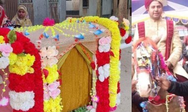 ঘোড়ায় চড়ে বর এসে পালকিতে নিয়ে গেল বউ