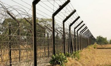 সীমান্তে বিএসএফের গুলিতে ২ বাংলাদেশি নিহত