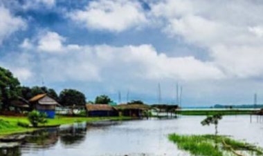 বিল থেকে বস্তাভর্তি মানব কঙ্কাল উদ্ধার