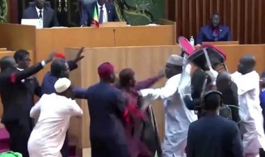 সেনেগালে অন্তঃসত্ত্বা পার্লামেন্ট সদস্যকে থাপ্পড়, দুই এমপির ৬ মাসের কারাদণ্ড