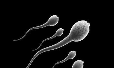 সন্তান উৎপাদন ক্ষমতা কমে যায় যেসব কারণে