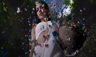 আড়াই মিনিটেই ভাইরাল সামান্থা