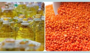 ২৭৪ কোটি টাকার তেল-ডাল কিনবে সরকার