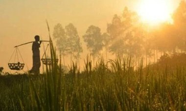 তাপমাত্রা বাড়বে দিন-রাতের