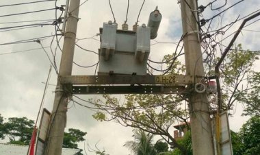 ট্রান্সফরমার চুরি করতে গিয়ে বিদ্যুৎস্পৃষ্টে মৃত্যু