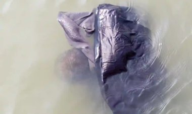 গৌরনদীতে যাত্রীবাহী ট্রলার ও বালু বোঝাই বলগটের মুখোমুখি সংঘর্ষে নিহত -১