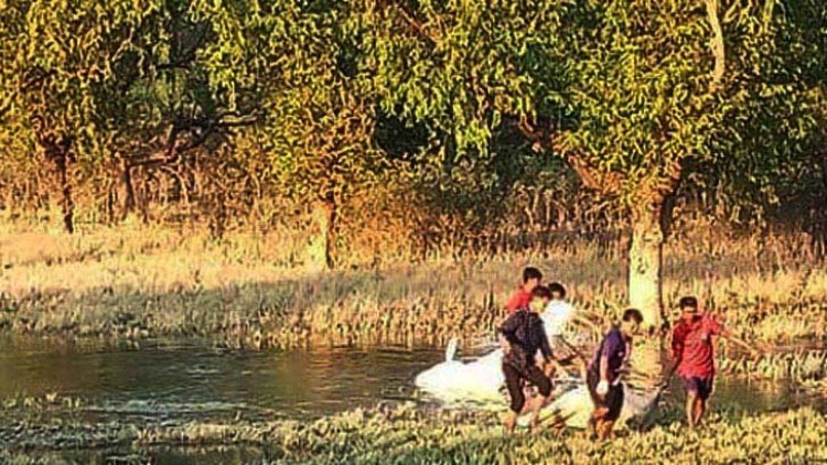 কক্সবাজারে একদিনে ৪ লাশ উদ্ধার