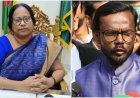 হিরো আলমের অভিযোগ ভিত্তিহীন: ইসি রাশেদা