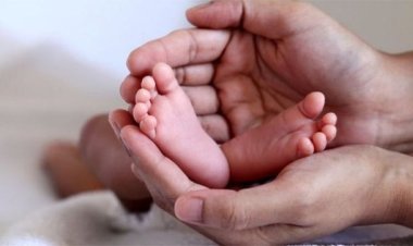 শিশুর জন্য লাগবে আলাদা টিকিট; রেগে কাউন্টারেই বাচ্চাকে ফেলে গেলেন বাবা-মা