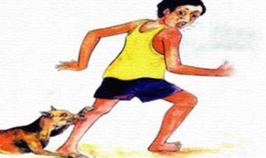 কুকুরের কামড়ে হাসপাতালে ১৫ শিশু