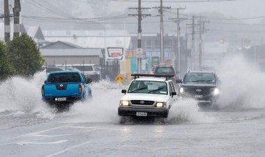 নিউজিল্যান্ডে জরুরি অবস্থা জারি