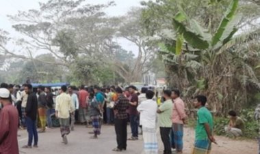 বাস-অটোরিকশার সংঘর্ষে ৩ যাত্রী নিহত