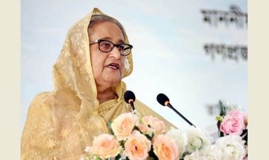 কৃষককে আর সারের পেছনে ছুটতে হবে না: প্রধানমন্ত্রী