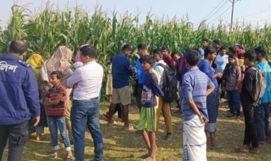 ভুট্টাখেতে ৯ তরুণীর অশ্লীল নৃত্য, অতঃপর...