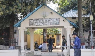 রাষ্ট্রপতির বাড়িতে প্রধানমন্ত্রীকে আপ্যায়নে থাকছে হাওরের ২০ রকম মাছ