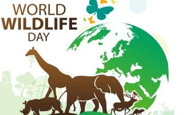 আজ বিশ্ব বন্যপ্রাণী দিবস