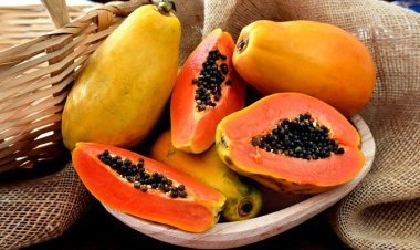 সকালে পেঁপে খাবেন কেন?
