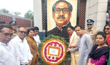 গৌরনদীতে বঙ্গবন্ধুর জন্ম  বার্ষিকী ও শিশু দিবস পালিত