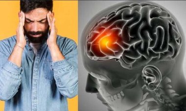 যে ৫ অভ্যাসে বাড়ে স্মৃতিশক্তির কার্যকারিতা!