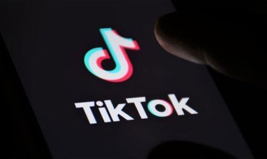 বাংলাদেশ থেকে ৪২ লাখ ভিডিও সরিয়েছে টিকটক