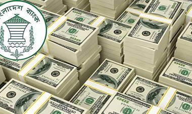 ১৪ দিনে এলো ১০ হাজার কো‌টি টাকার রেমিট্যান্স