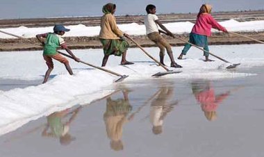 দেশে সর্বোচ্চ লবণ উৎপাদনের রেকর্ড