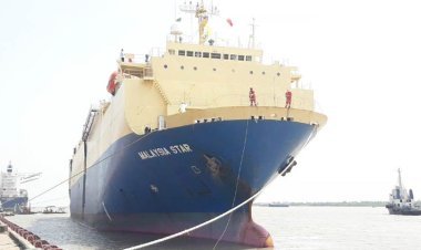 বিলাসবহুল ৯২৬ গাড়ি নিয়ে মোংলায় বিদেশি জাহাজ