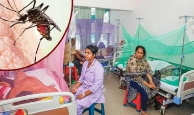 রাজধানীতে ডেঙ্গু আক্রান্ত শিশুর সংখ্যা বাড়ছে, দেখা যাচ্ছে নতুন উপসর্গ