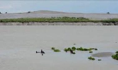 রাসেলস ভাইপার সাপের আতঙ্কে পদ্মা-গড়াই পাড়ের মানুষ, ৮ মাসে উদ্ধার ৭টি সাপ