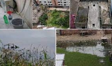 এডিস নিয়ন্ত্রণে বিশেষ কন্ট্রোল রুম চালু