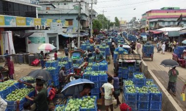 প্রতিদিন ২৫ কোটি টাকার আম বেচাকেনা