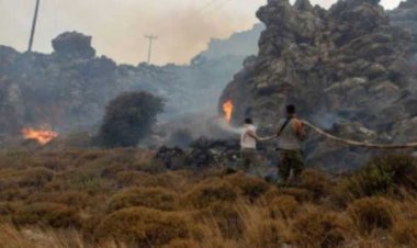 সুদানে বিমান বিধ্বস্তে নিহত ৯, অলৌকিকভাবে বেঁচে গেল শিশু