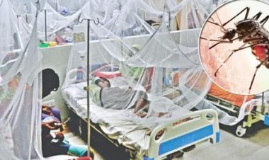 ২৪ ঘণ্টায় রাজধানীর মুগদা হাসপাতালে ডেঙ্গুতে আরও ২ জনের মৃত্যু