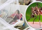 ডেঙ্গুতে ২৪ ঘণ্টায় প্রাণ গেলো আরও ১৪ জনের