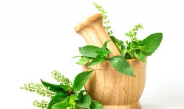 চুল পাকা কমাবে তুলসী পাতা