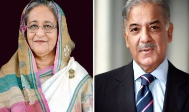 প্রধানমন্ত্রীর জন্য আম পাঠালেন পাকিস্তানের প্রধানমন্ত্রী শেহবাজ শরীফ