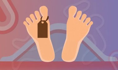 বাঁচানো গেল না আপেলকে