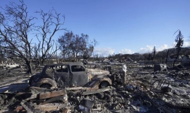 মানসিকভাবে ভেঙে পড়েছেন দাবানলে সর্বস্ব হারানো হাওয়াই দ্বীপের বাসিন্দারা