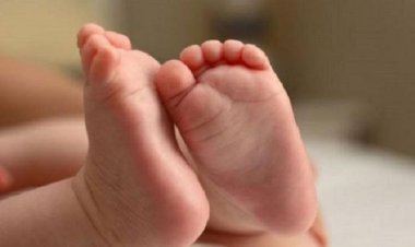 ডাস্টবিনে মিললো নবজাতকের মরদেহ