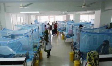 ডেঙ্গুতে খালি হবে আর কত মায়ের বুক?