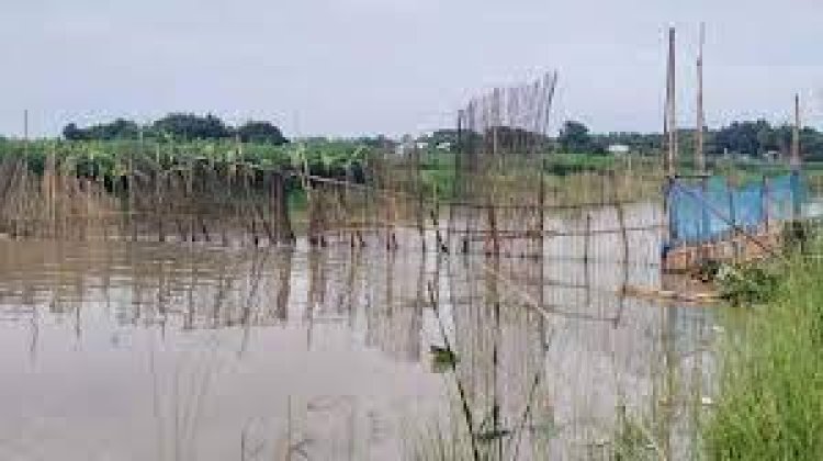 চরভদ্রাসনে অবাধে চলছে চায়না দুয়ারীর ব্যবহার