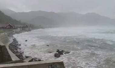 ঘূর্ণিঝড়ের তাণ্ডবে লণ্ডভণ্ড তাইওয়ানের একাংশ