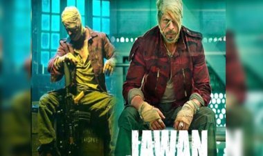 ৩০০ কোটির ঘর ছাড়াল শাহরুখের ‘জওয়ান’