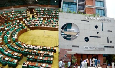 ১০০ আসনে আওয়ামী লীগের শত্রু আওয়ামী লীগ