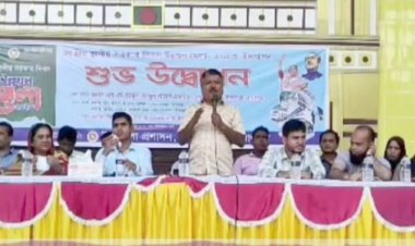 ‘জামালপুরের ডিসির ভিডিও ভাইরালকারী একটা কুলাঙ্গার’