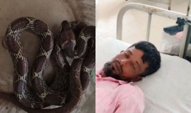 কামড় খাওয়ার পর সাপ নিয়ে হাসপাতালে সৈকত