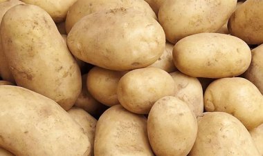 পাহাড়তলী বাজারের আড়তদারকে লাখ টাকা জরিমানা