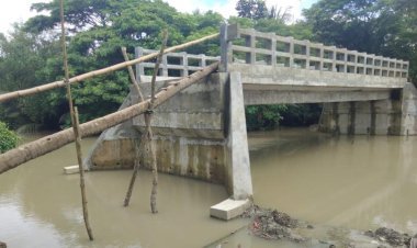 সেতুতে উঠতে হয় সাঁকো বেয়ে